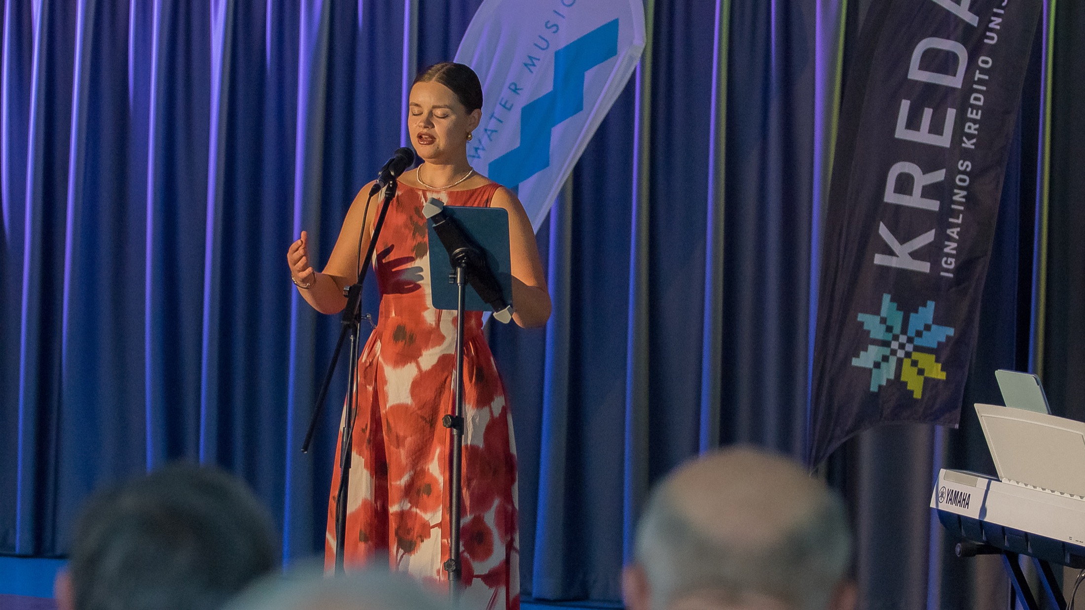 Lithuanian identity - international music festival in Lithuania